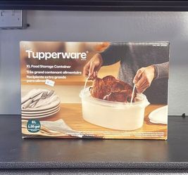 XL 6 litter Food storage container