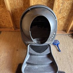 Litter Robot, Food, Water and Litter! 