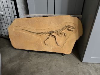 Fossil Reproduction 