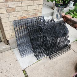 Puppy Dog Fence