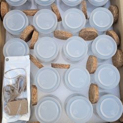 Glass Jars With PE and cork Lids