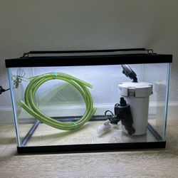 10 Gallon Tank With Canister Filter And Light