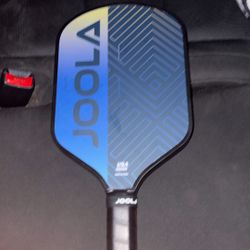 Pickleball Paddle 