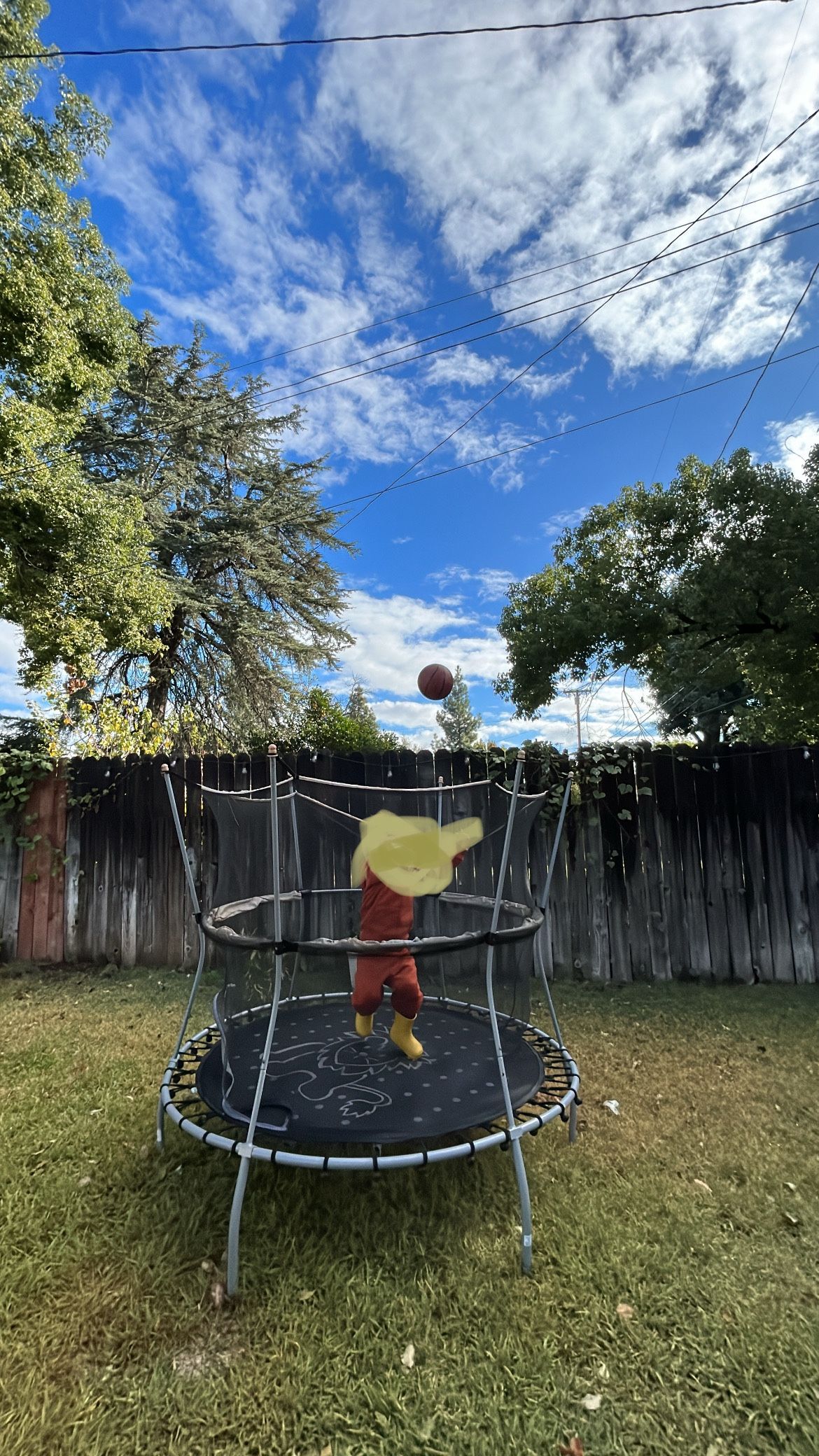 Free Trampoline for Sale in Glendora, CA OfferUp