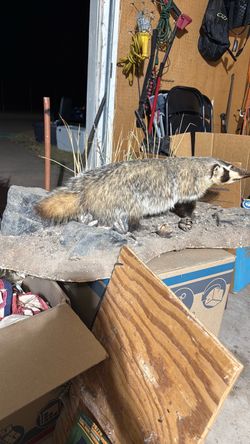 Badger Mount