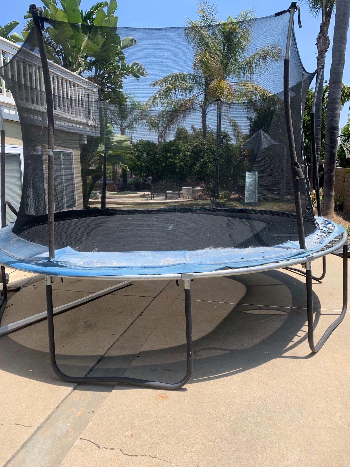 Free Trampoline