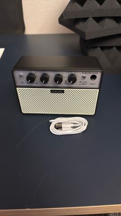 Portable bass amp