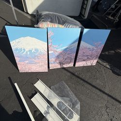 Two 3 piece canvas frames