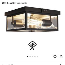Outdoor Ceiling Light with Motion Sensor, Flush Mount Porch Light, Exterior Light Fixture with Clear Glass, Dusk to Dawn 2-Light Fixture for Patio, Po