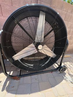 Fan