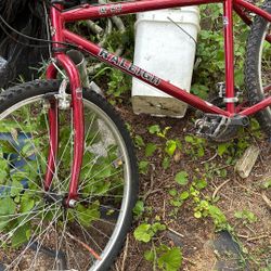 Bicycle Raleigh Made In U S A. 21 Speed 