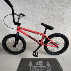 Sunday Primer (ridden twice)