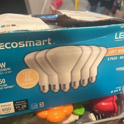 Light Bulbs