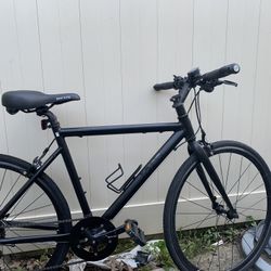 Hybrid Bike