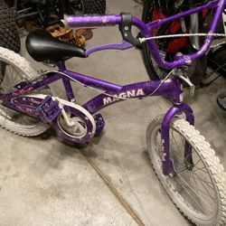 Girls 16 Inch Bicycle