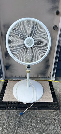 Lasso oscillating Fan