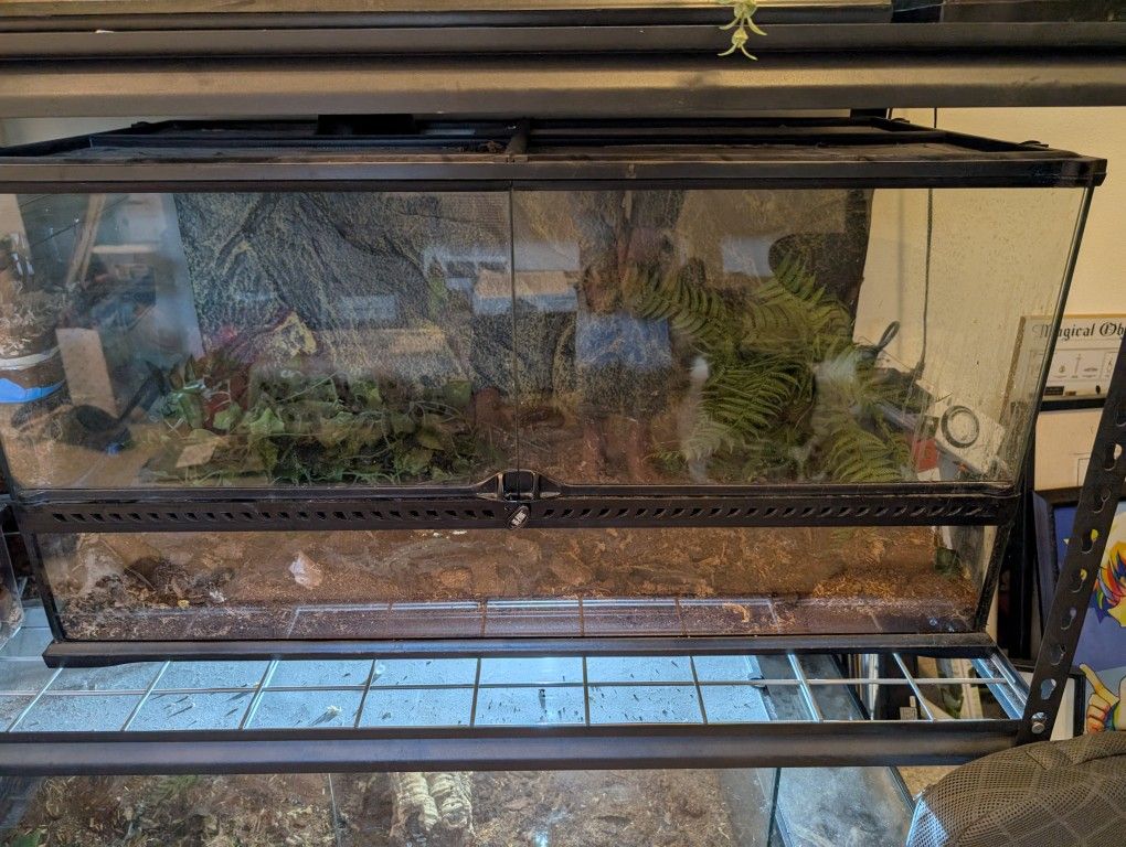 Exo Terra Glass Reptile Enclosure