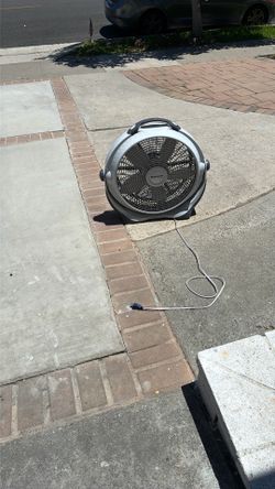 Fan