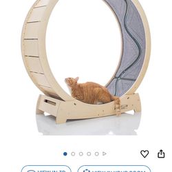 Cat Wheel
