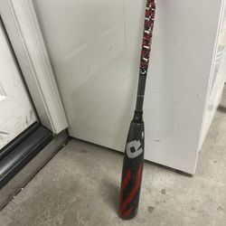 baseball bat
