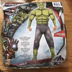 Halloween Costume Hulk size 4-6