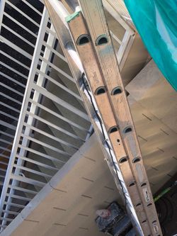 Werner 20ft ladder