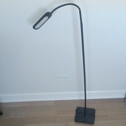 Black LED Gooseneck Floor Lamp