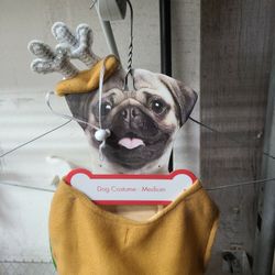 Dog Christmas costume