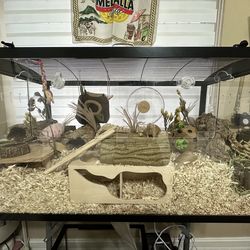 Mice Enclosure with all accessories (hides, wheel, food, treats, bedding) included