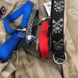 Lupine Dog Collars Different Sizes Guaranteed  Just Send It To Lupine And They Will Give U A New One 