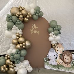 Balloon Arch and Backdrop