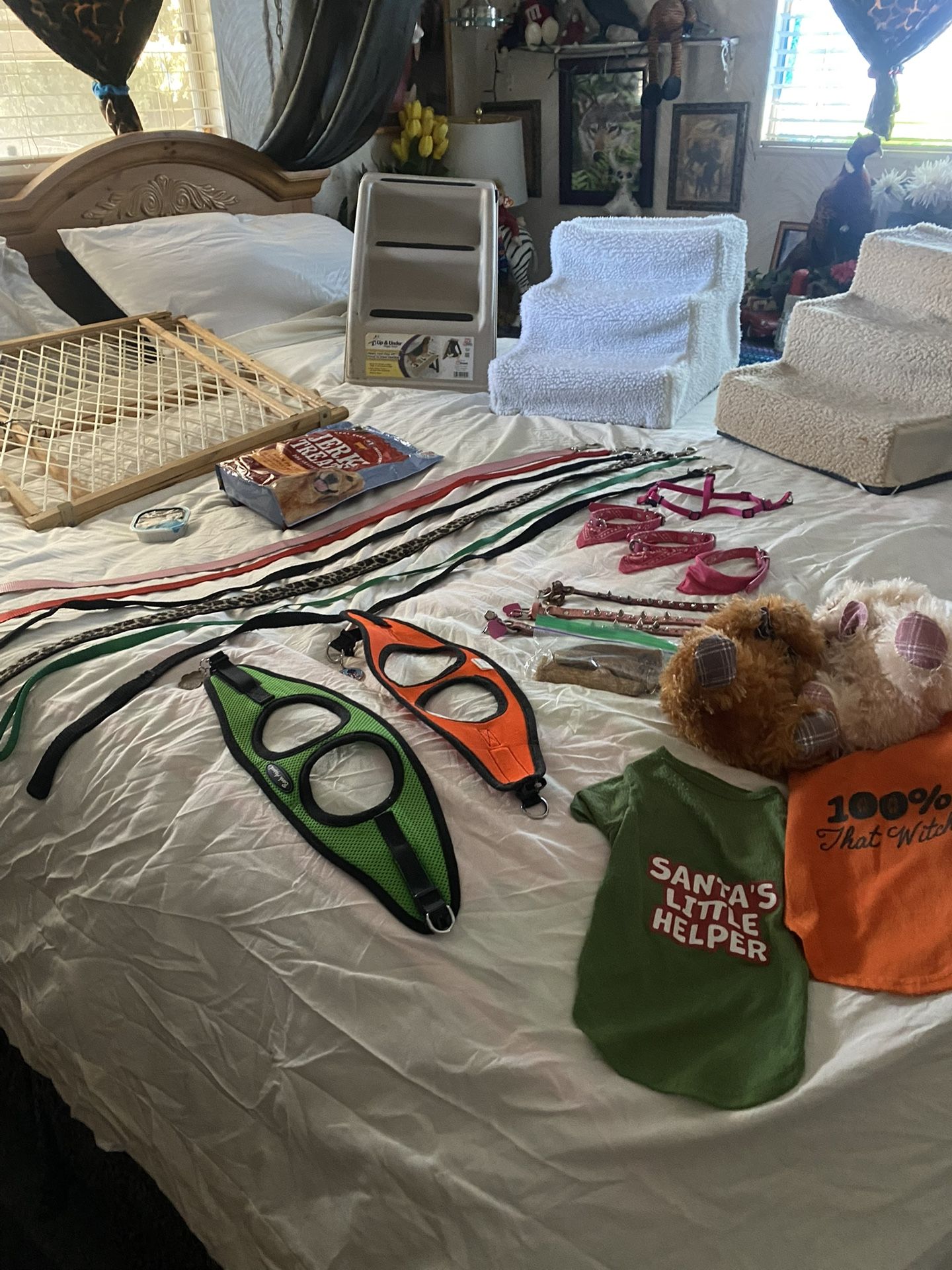Small Breed Dog Accessories