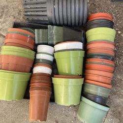 Used Planter Pots, 4&6 Inch & Some Of One Gallón Pots Pick Up Only In City Of Whittier 