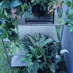 7 New Artificial Plants 