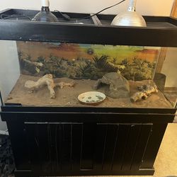 75 Gallon Aquarium Terrarium
