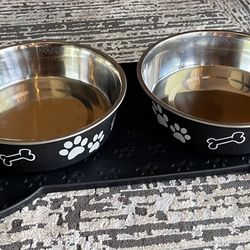 Dog Bowls 