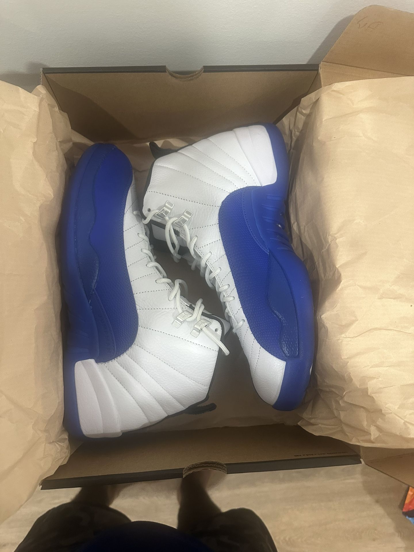 Jordan 12 Blueberry (Size 11)
