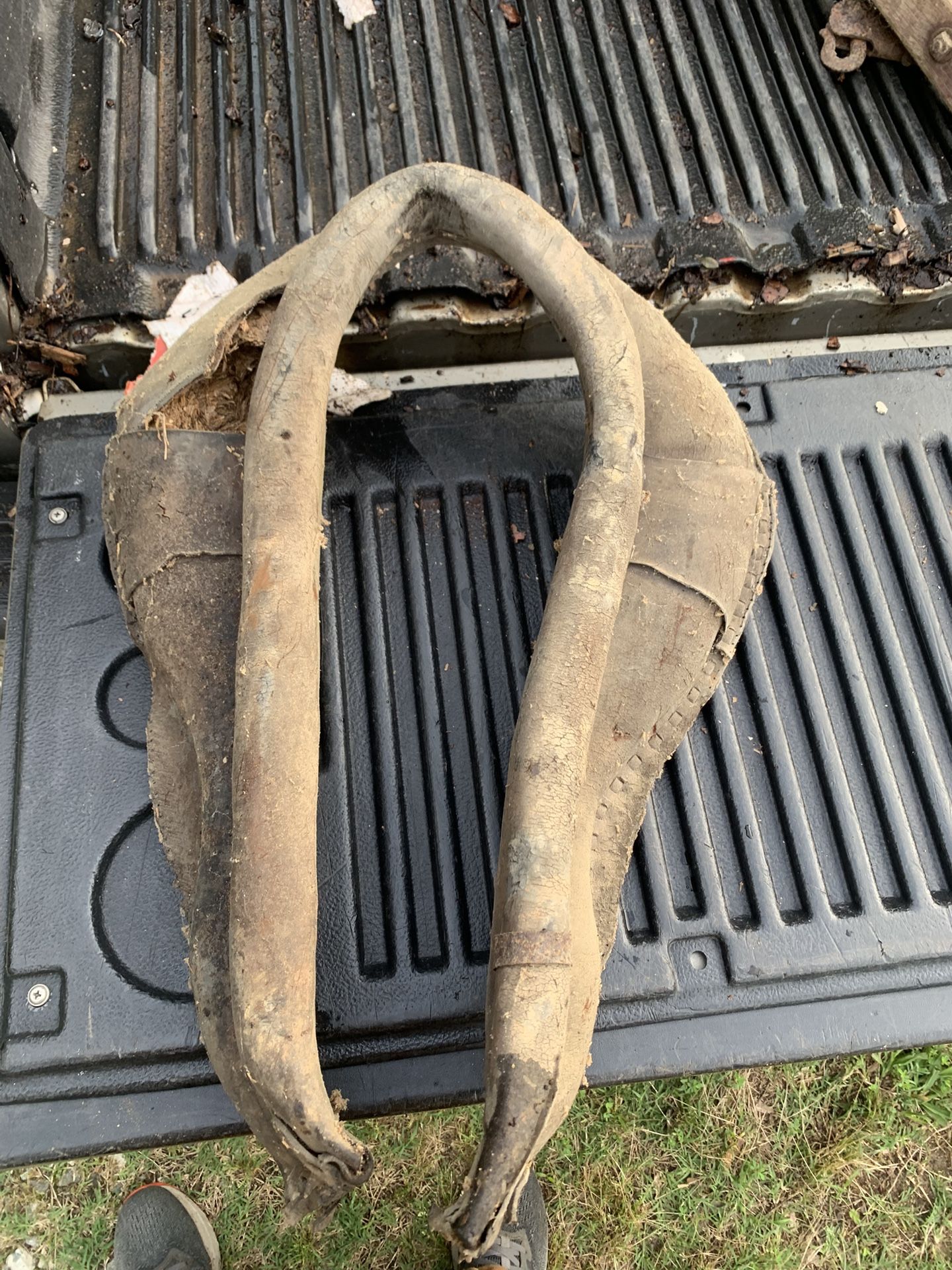 Antique mule Collar