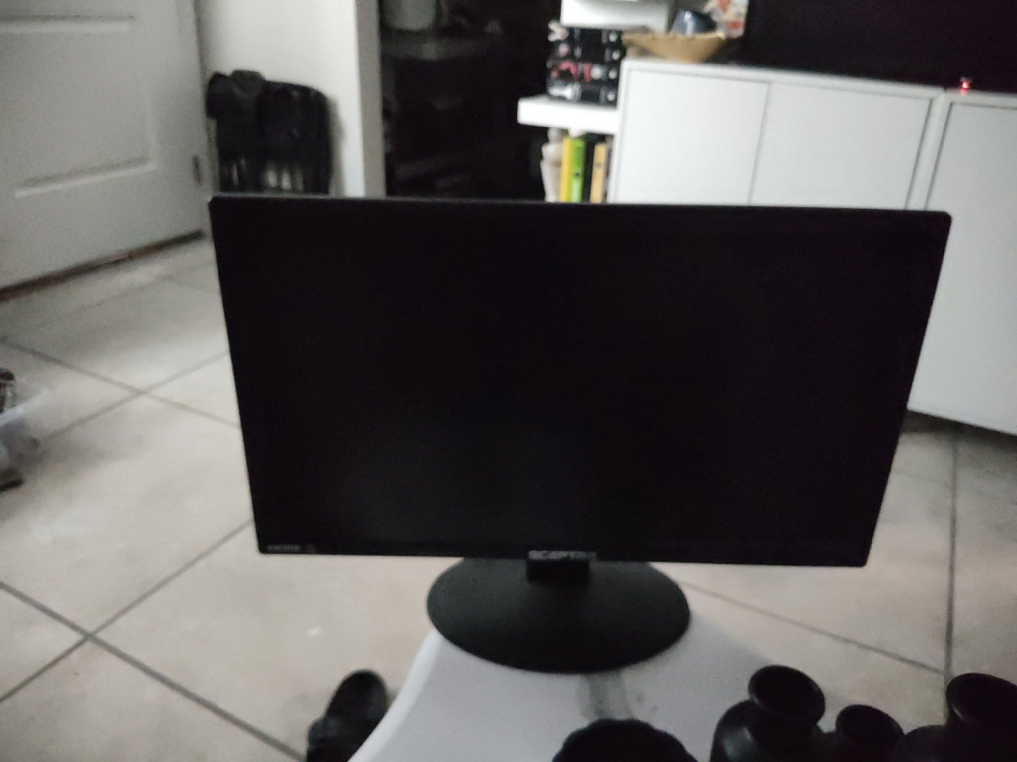 Sceptre Computer Monitor 24”