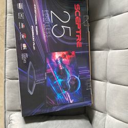 25 Inch Monitor 1080p 240hz