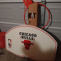 NWOT Chicago bulls basketball Hoop