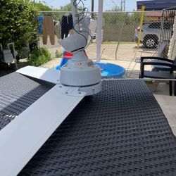 Ceiling Fan