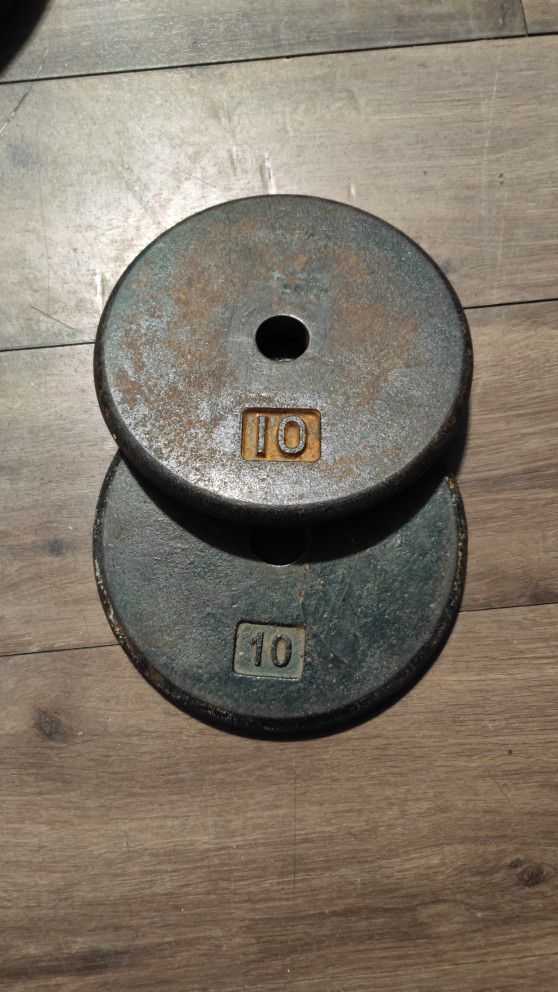 Pair Of 10 Lb Weights 