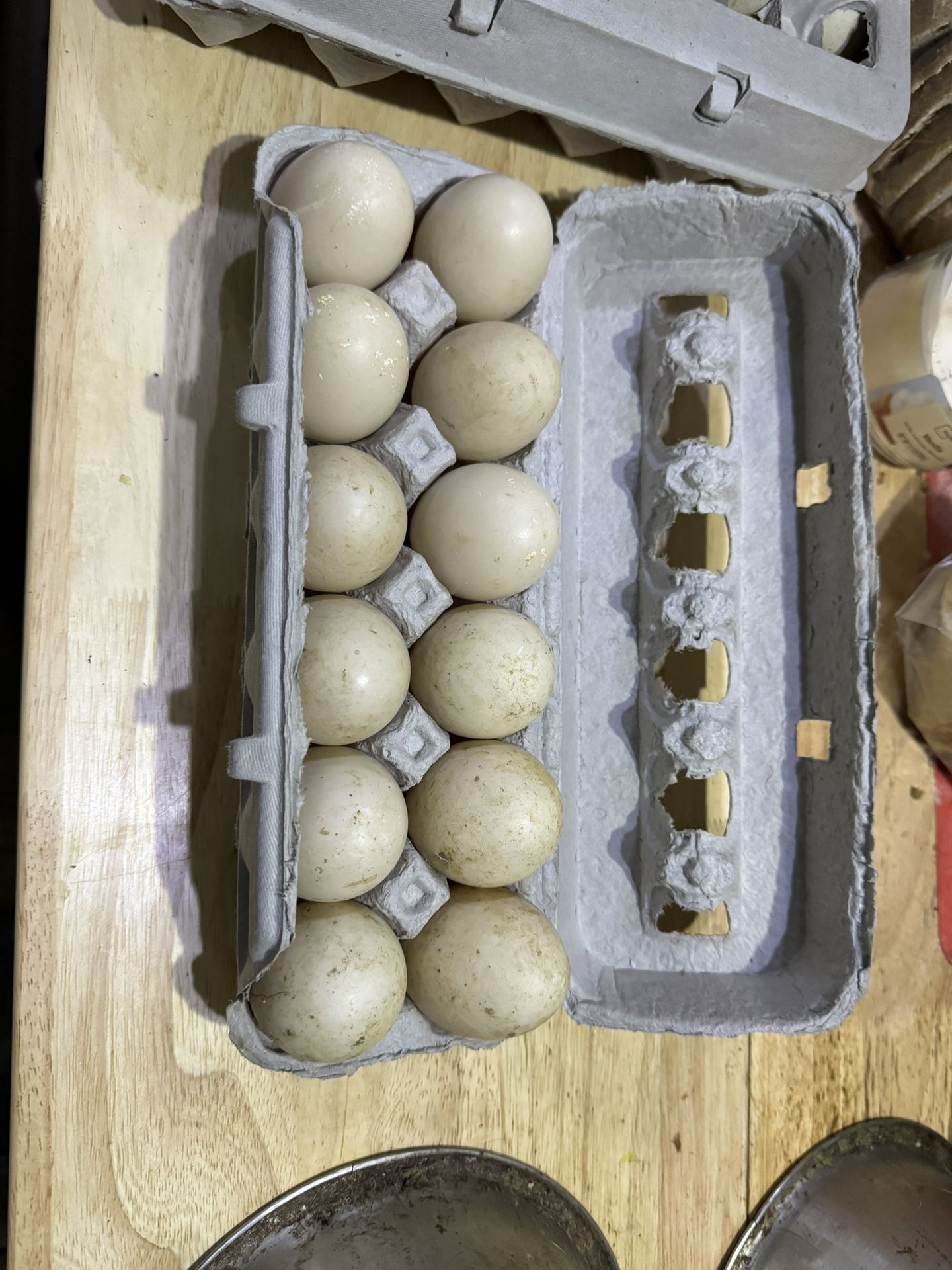 Duck Eggs