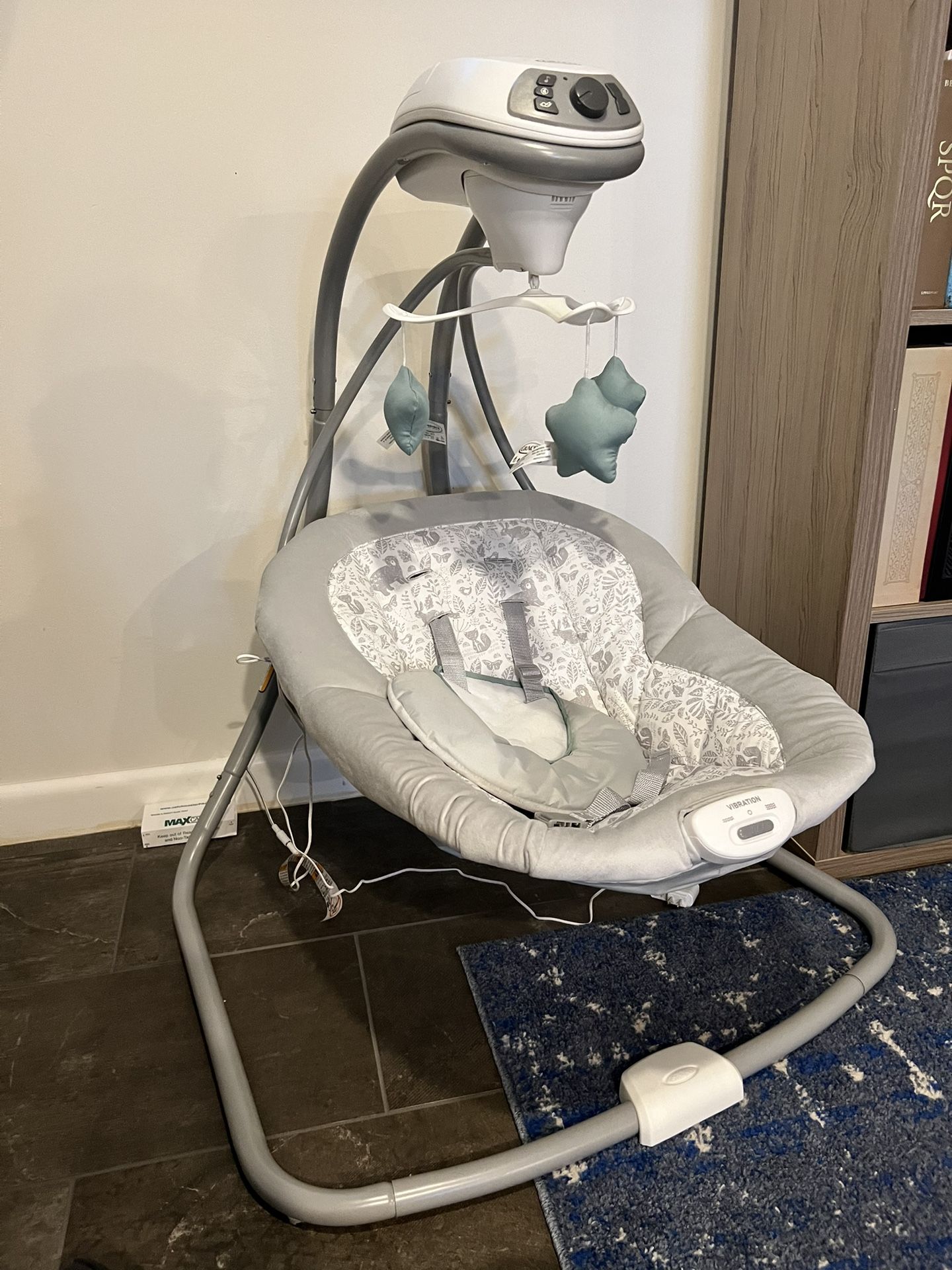 Graco Baby Swing