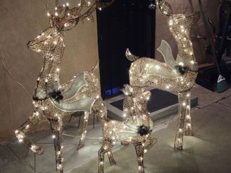 Reindeer family