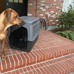 Dog Kennel