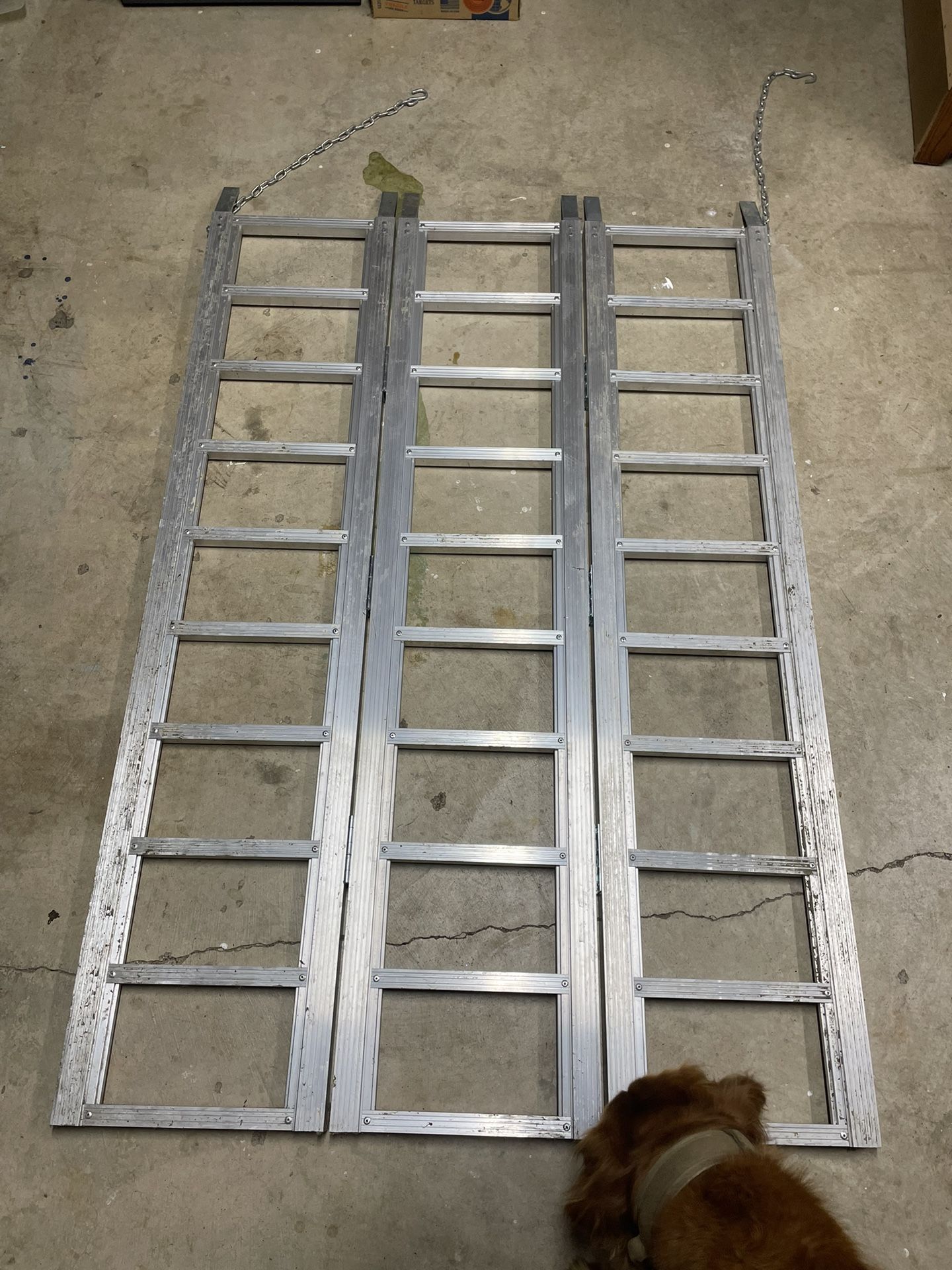 Tri Fold Ramp