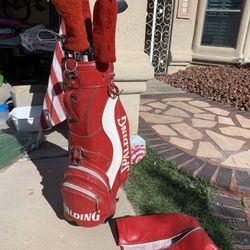 Vintage Golf Bag With Clubs 