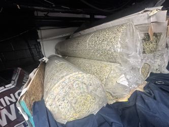 Flooring Carpet Pads $50 Each 